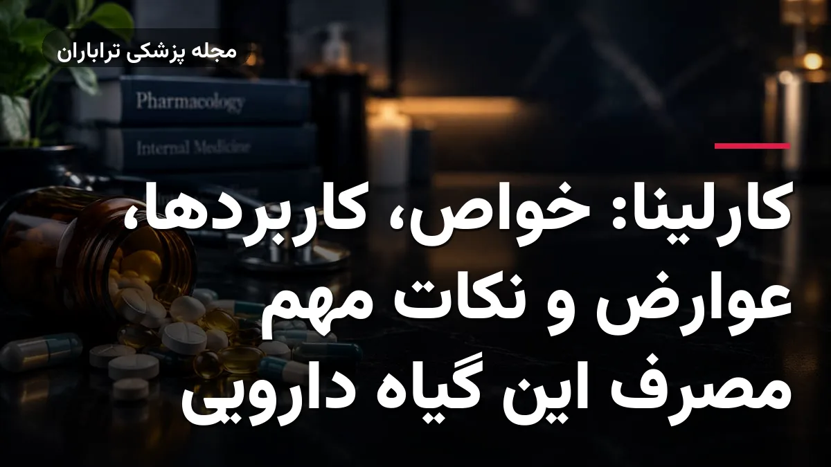 کارلینا: خواص، کاربردها، عوارض و نکات مهم مصرف این گیاه دارویی