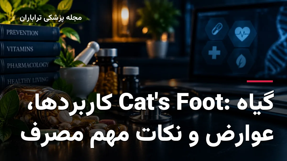 گیاه Cat's Foot: کاربردها، عوارض و نکات مهم مصرف