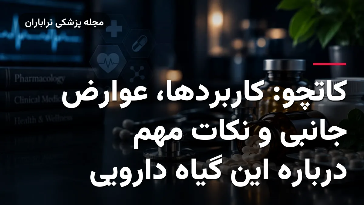 کاتچو: کاربردها، عوارض جانبی و نکات مهم درباره این گیاه دارویی