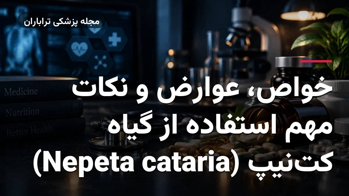 خواص، عوارض و نکات مهم استفاده از گیاه کت‌نیپ (Nepeta cataria)